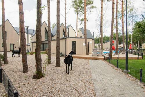 Apartamento Poilsio Laboratorija 3k