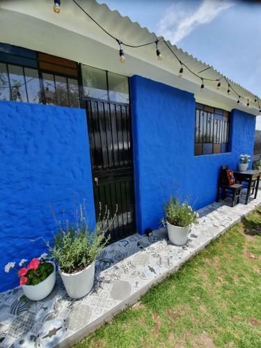 The First Real Bed & Breakfast 'the Office' In Arequipa, Peru