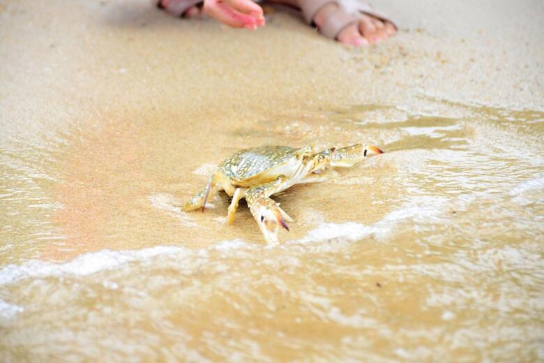 Hotel Imperial Samui Beach Resort