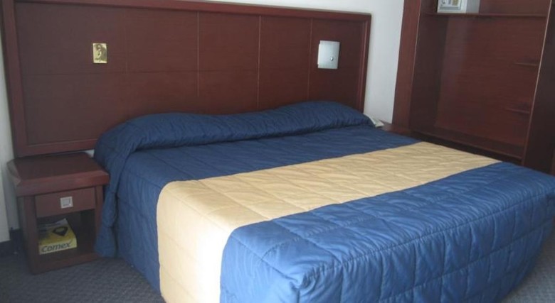 Hotel Ambassador Mexico