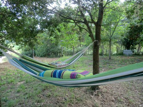 Bed & Breakfast Vianashome