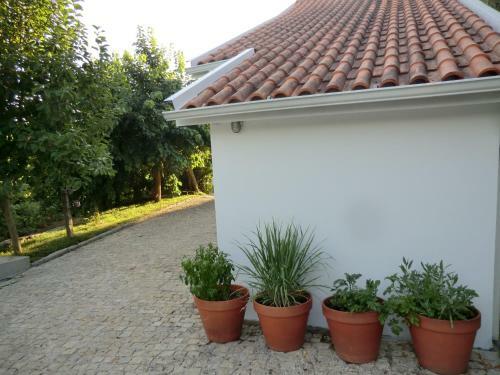 Bed & Breakfast Vianashome