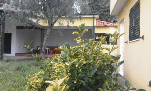 Villa Casa Amarante Porto
