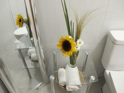 Apartamentos Kennedy Sanitizados Chill�n 2
