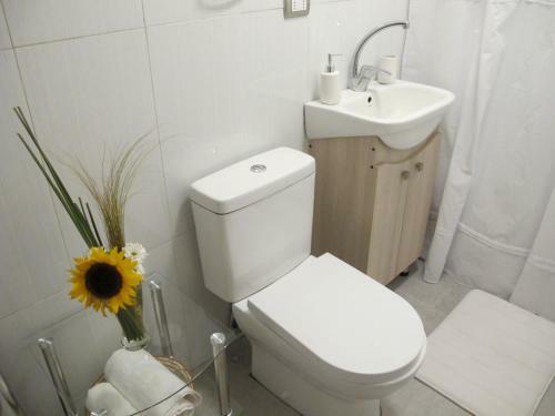 Apartamentos Kennedy Sanitizados Chill�n 2