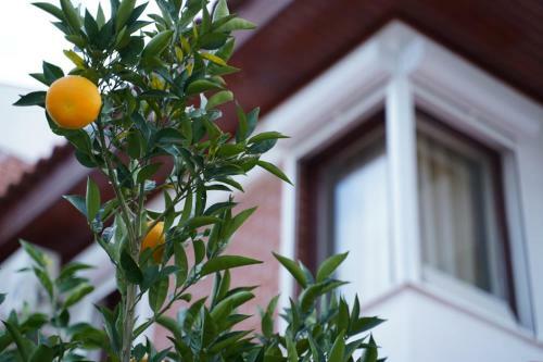 Apartamento Extraordinary Villa With Private Pool In Antalya Surrounded By Nature