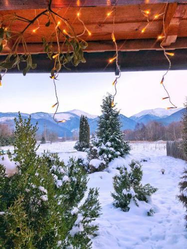 Marie Chalet