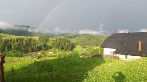 Bucovina Mea