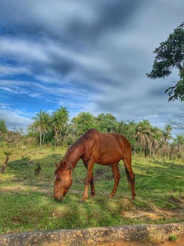 Rancho Las Mar�as