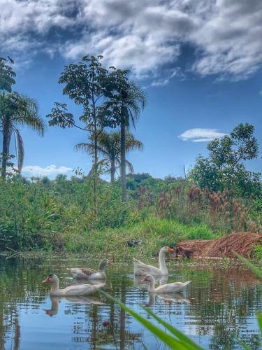 Rancho Las Mar�as