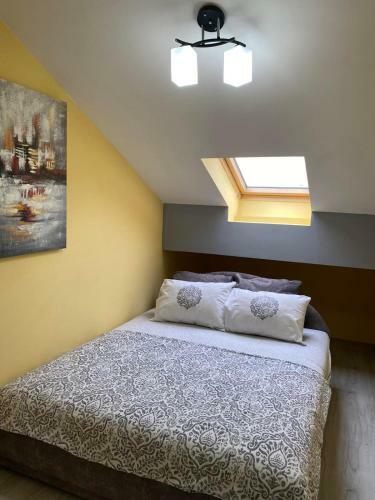 Zara Apartman Krusevac - Centar