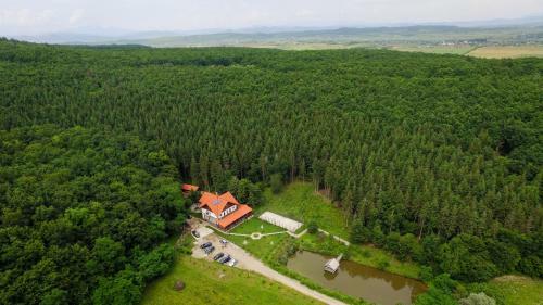 Lodge Paradisul Verde