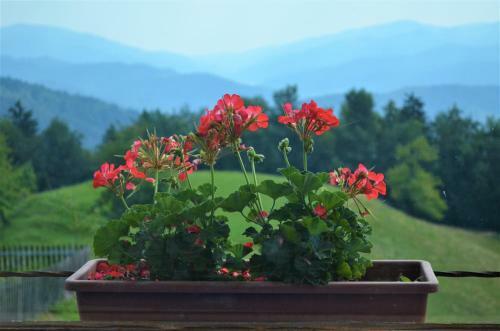 Apartamento Healing Farm
