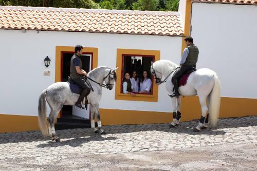 Quinta Do Malhinha- Turismo