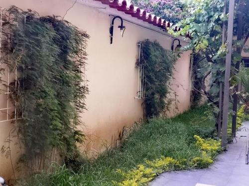 Hostal Palamas