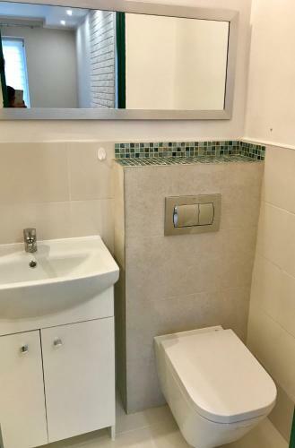 Apartament Brzoza Bydgoska