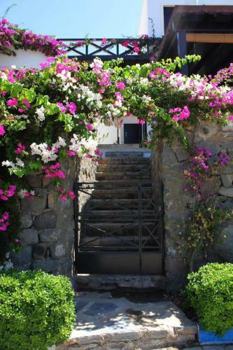 Bodrum G�ndo?an Villa
