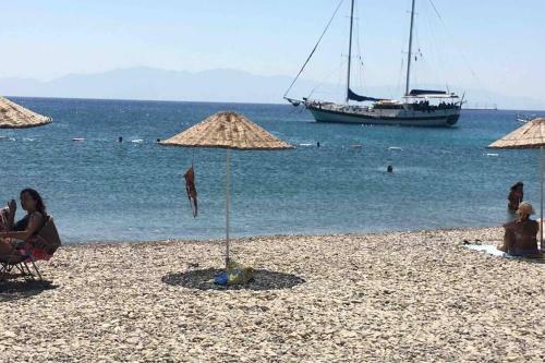 Villa Bodrum Torba Da Tam M�stakil Bah�eli Do?al Ta? Ev.