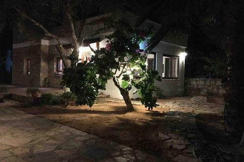 Villa Bodrum Torba Da Tam M�stakil Bah�eli Do?al Ta? Ev.