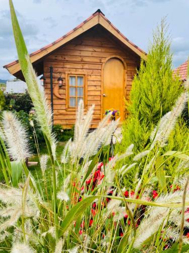 Bed & Breakfast Ecocaba�as Villa Isabel