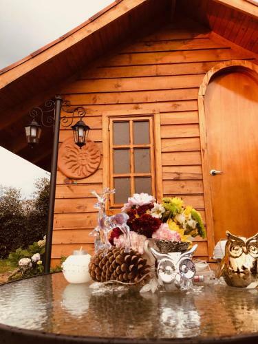 Bed & Breakfast Ecocaba�as Villa Isabel