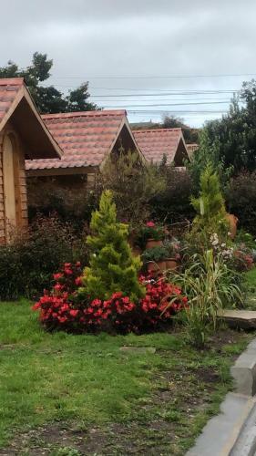 Bed & Breakfast Ecocaba�as Villa Isabel