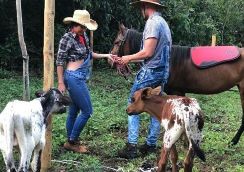 Glamping Para Parejas Con Jacuzzi En Caldas