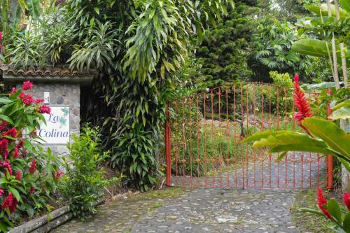 Bed & Breakfast Finca La Colina