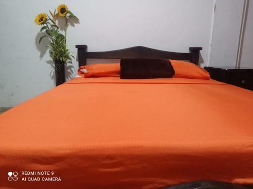 Hotel Plaza Calarc�
