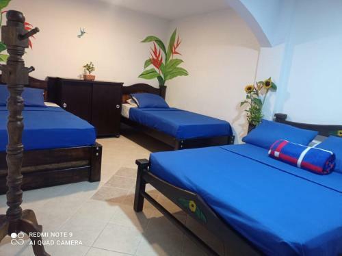 Hotel Plaza Calarc�