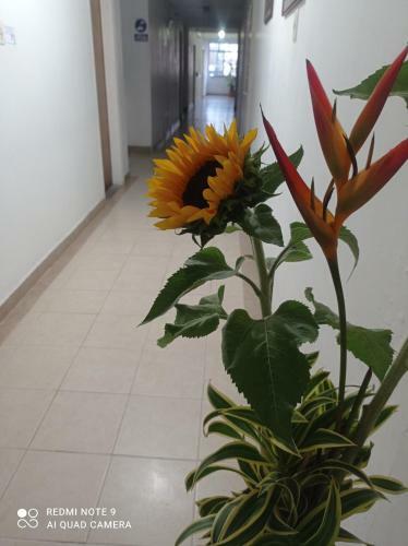 Hotel Plaza Calarc�