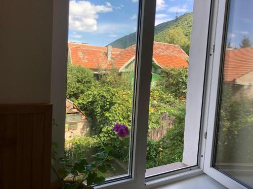Schei Apartament 2