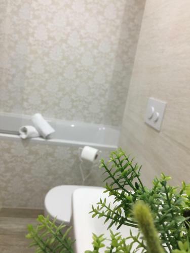 White Apartment Brasov