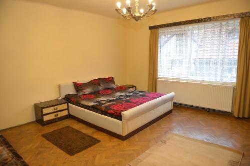Apartament Oana