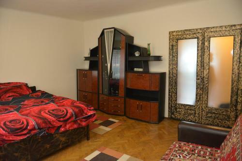Apartament Oana