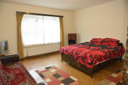 Apartament Oana