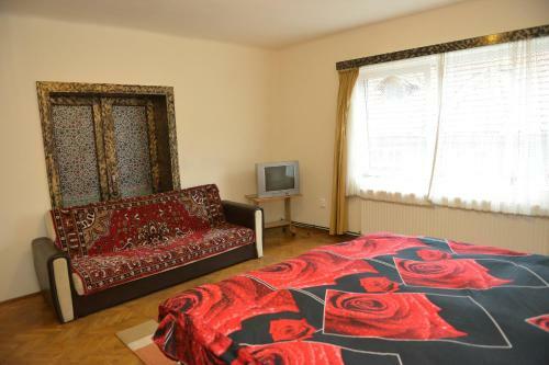 Apartament Oana