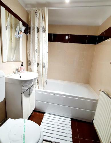 Apartamento Bra?ov Residence One