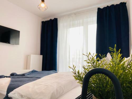 White 2 Apartment Brasov