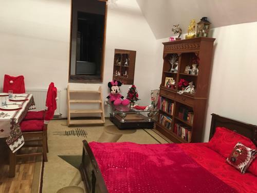 Casa Haiducilor Brasov