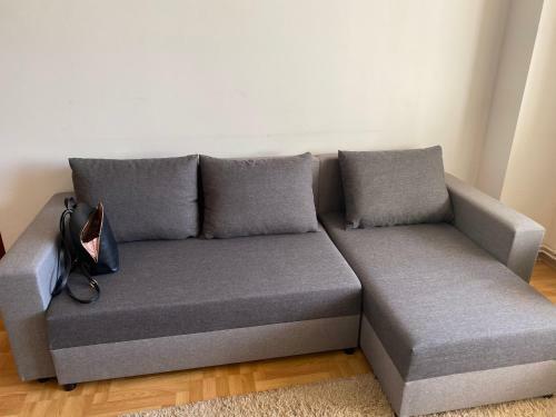 Zorilor Apartment