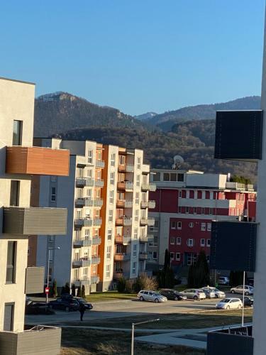 Apartmentcity