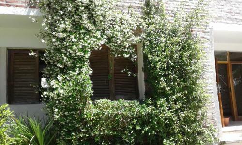 Apartamento Ch1pinamar