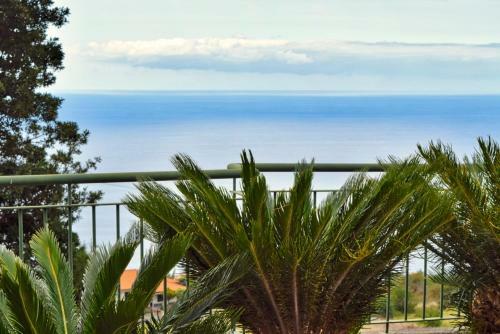 Quinta Vista Mar Do Arco, A Home In Madeira
