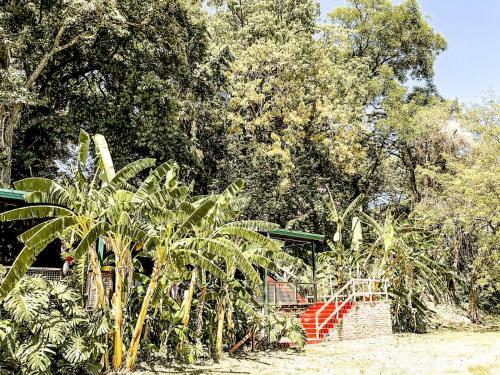Apartamento Wawa Caba�a