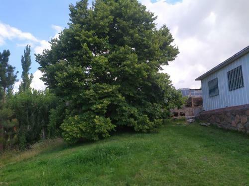 Caba�a Oregones Del Valle
