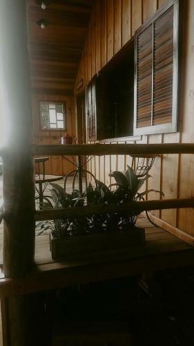 Glamping Panorama