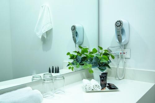 Hotel Pance 122