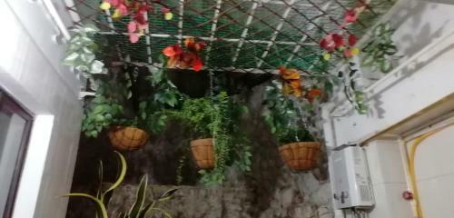 Mercanti_apts_normandia