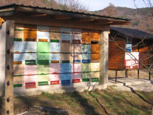 Hostal Guest House Ro?e
